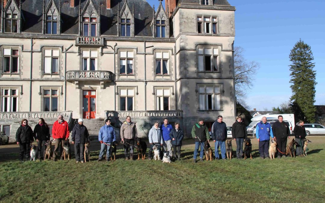 Sélectif obéissance Groupe 1 (nord-ouest) à Buzançais