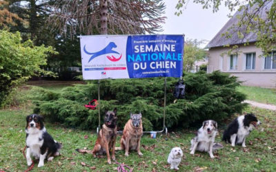 Semaine nationale du chien – 3 et 04/10/25