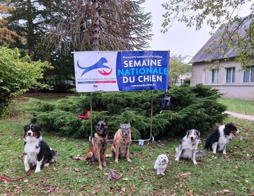 Semaine nationale du chien – 3 et 04/10/25