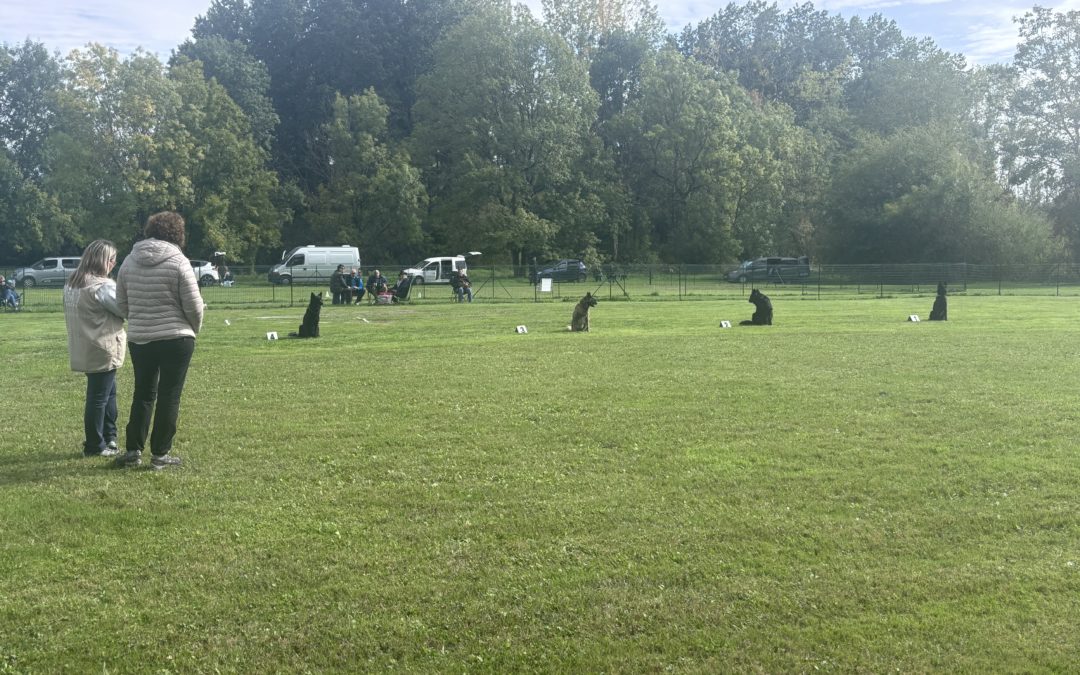 Villedieu-sur-Indre (36)