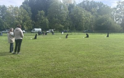 Villedieu-sur-Indre (36)