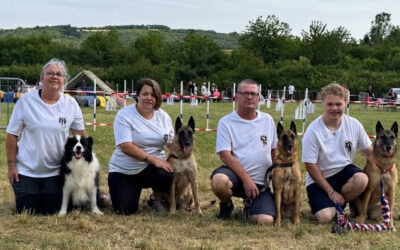 Sélectif Trophée par équipe à Joigny (89)